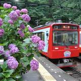 箱根登山電車（ハコネトザンデンシャ）