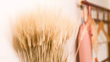 部屋からの景観 / 34