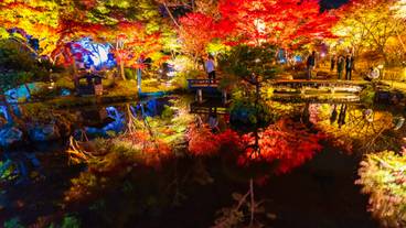 天守閣自然公園 / 1