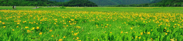 尾瀬ヶ原でおすすめのコスパがいい宿5選！ハイキングで宿泊ならココ♪