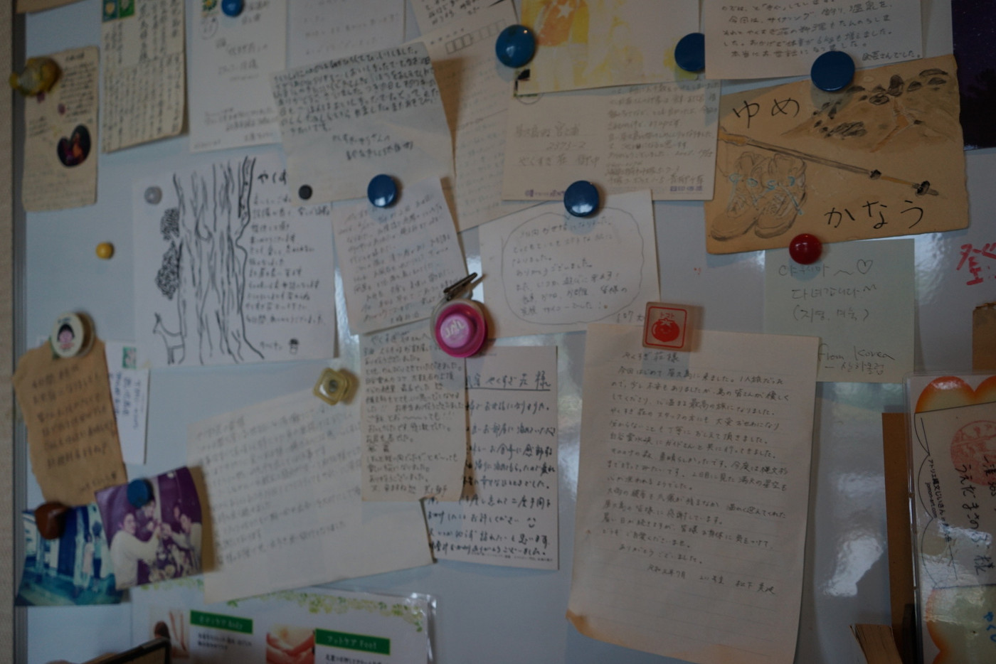 「やくすぎ荘」 その他 157592467 お手紙たち