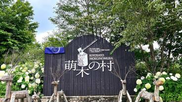 萌木の村 入り口 / 1