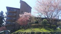 小涌谷温泉 ウィスタリアンライフクラブ ヴェルデの森