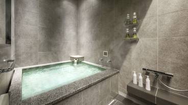 プライベートバス 十和田石 / 1