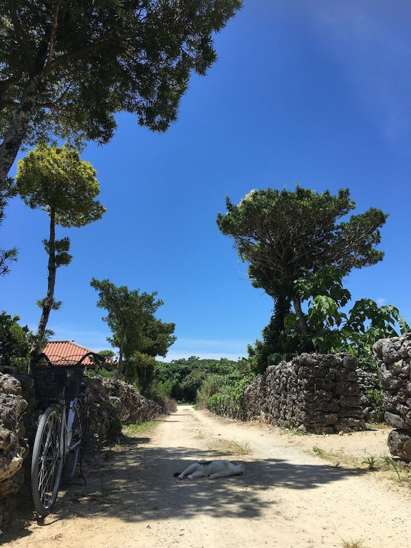 ストリート ビュー