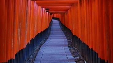 観光スポット / 18