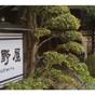 【20％OFF】【楽天スーパーSALE】出雲大社正門前まで徒歩１分！【竹野屋スタンダード】 | 竹野屋旅館