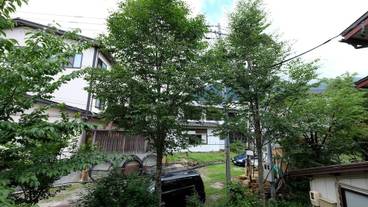 ガーデン ビュー / 12