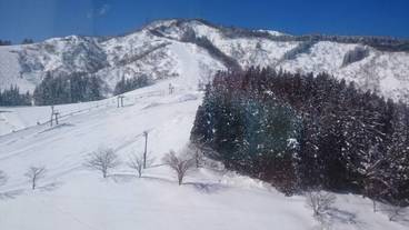 マウンテン ビュー / 7