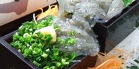 仕事帰りに便利！平塚で見つけた美味しい居酒屋7選
