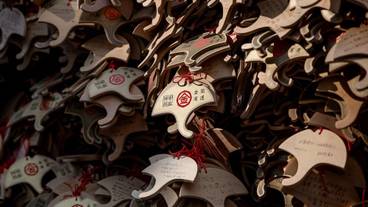 観光スポット / 15