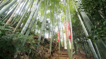 施設の敷地 / 29