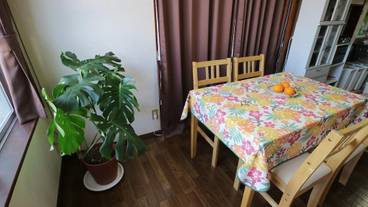 専用キッチン / 7