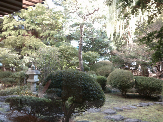 庭