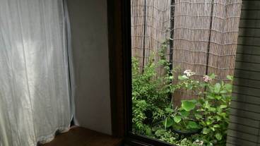 部屋からの景観 / 14