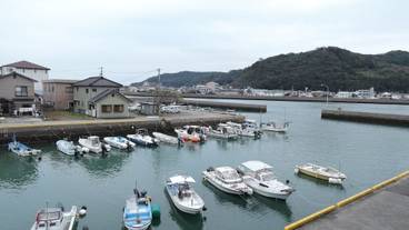 施設からの眺望 / 6