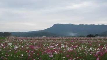 施設の敷地 / 10