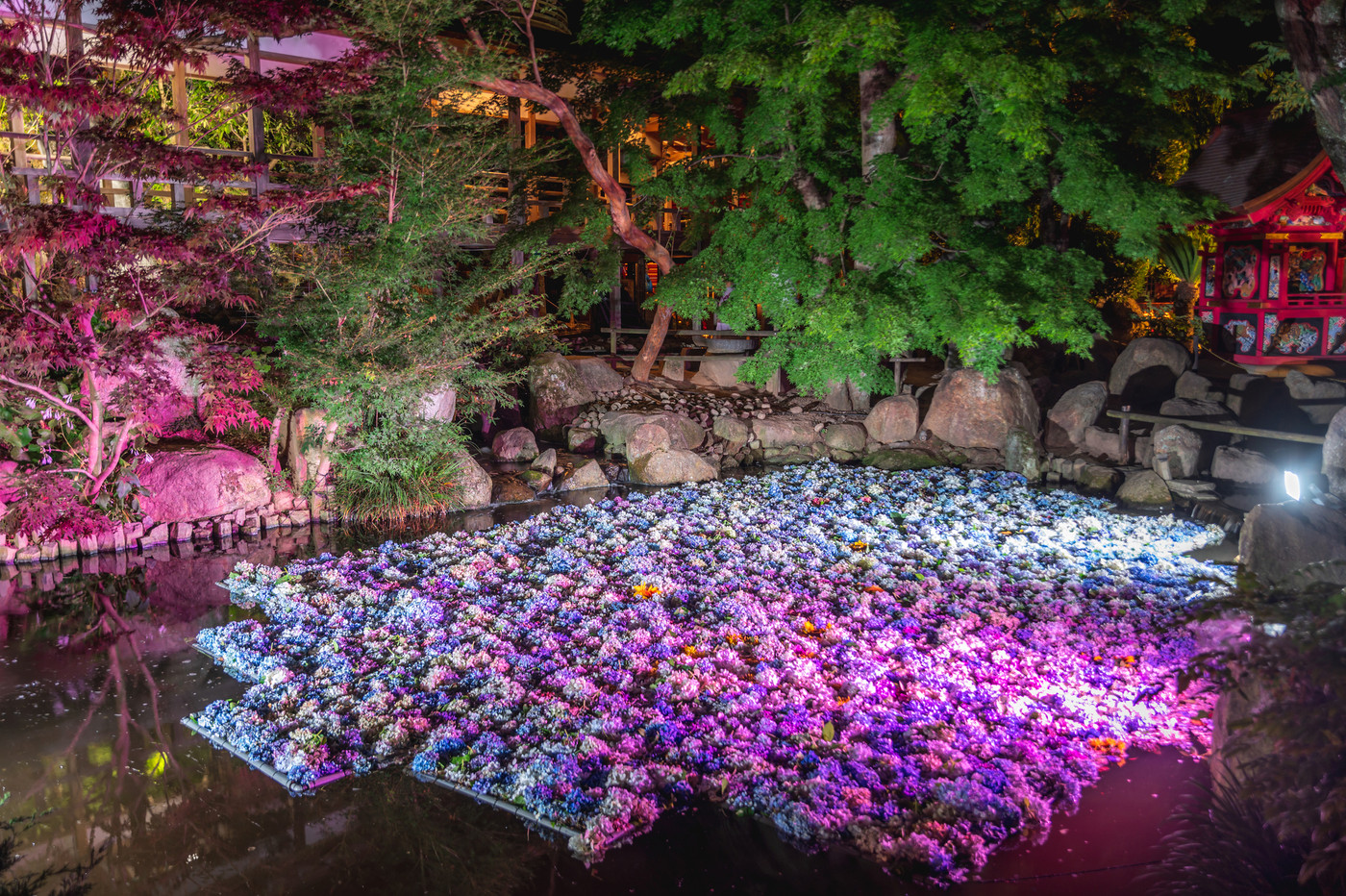 茨城県桜川市　雨引観音のアジサイ水中花ライトアップ