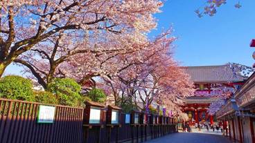 観光スポット / 10