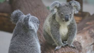 観光スポット / 19