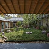 エントランスに続く庭園 / 2