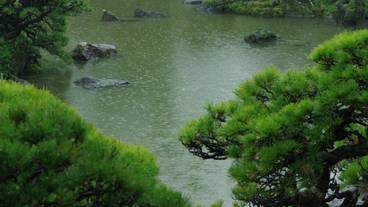 施設の敷地 / 10