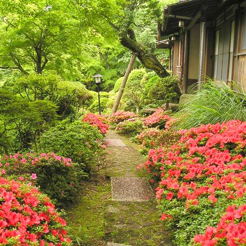 名残惜しみつつ
チェックアウト / 1