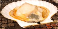 新鮮魚介を浜焼きでリーズナブルに♪居酒屋「赤羽 トロ函」