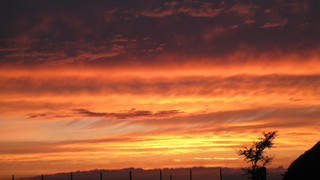 エコノミー ツインルーム