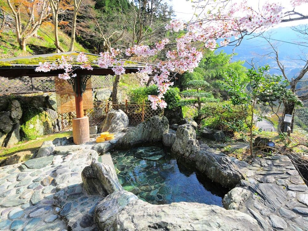 「祖谷のかずら橋」など観光地から徒歩圏内で便利♪3524635