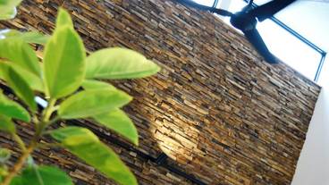 リビング エリア / 19