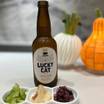 京都らしいお漬物とクラフトビールは夏に最高でした。