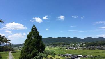 施設からの眺望 / 22