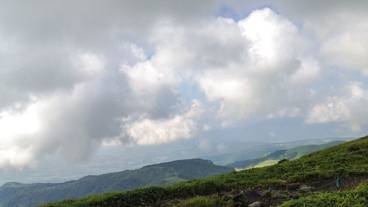 ランド ビュー / 29