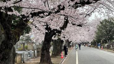 施設からの眺望 / 26