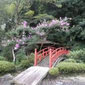 三朝温泉 後楽（鳥取県 旅館） / 5