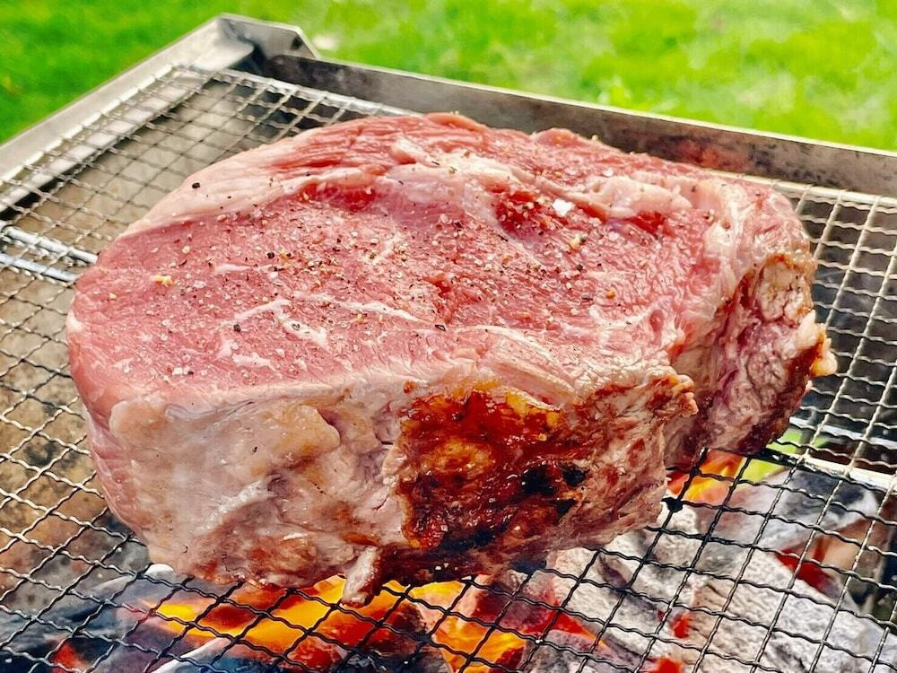 バーベキュー / ピクニック エリア