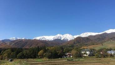 施設の敷地 / 18