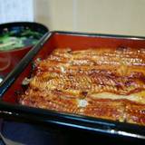 鰻 むさし乃(ウナギムサシノ)