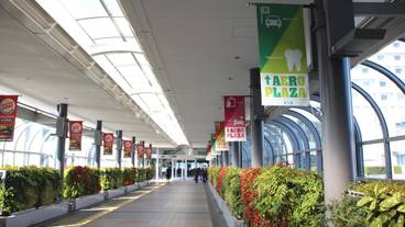 施設の敷地 / 37