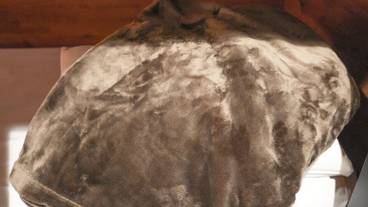 客室の設備とサービス / 12