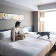 hotel anddoggy京都二条