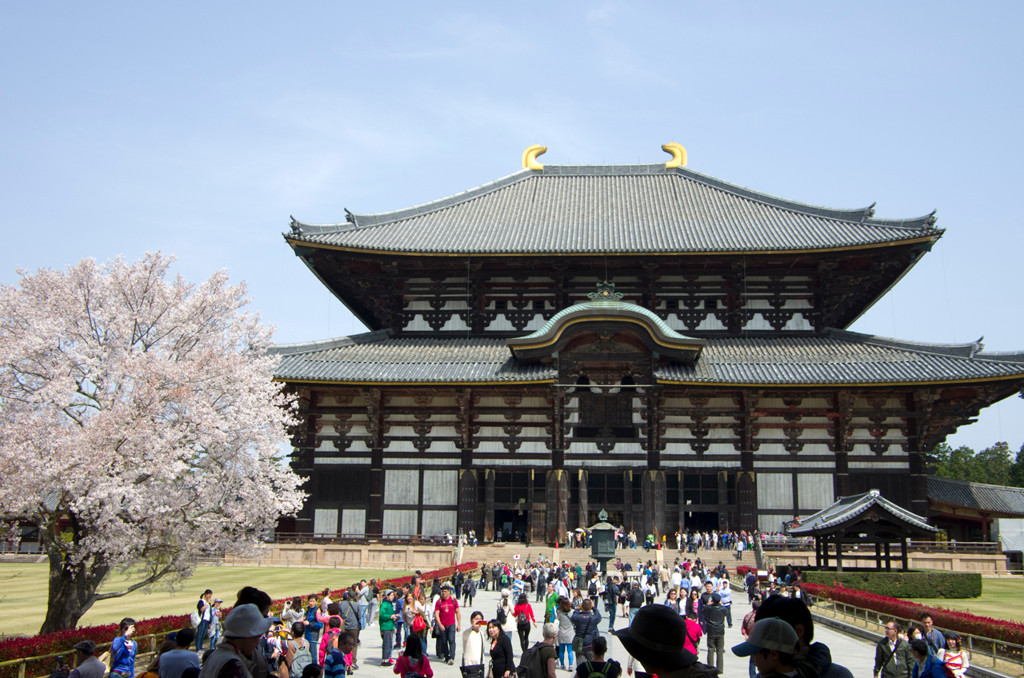 古の都・奈良をカップルでのんびり旅しよう♪3632406