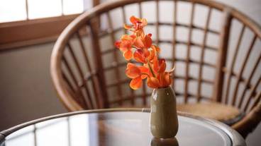 客室の設備とサービス / 24