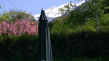 施設の敷地 / 16