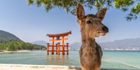 女子ののんびり一人旅in広島。旅のおともにしたいおすすめホテル7選