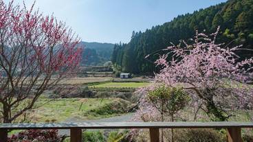 部屋からの景観 / 21