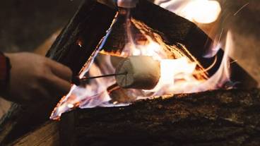 子供向けアクティビティ / 5