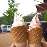 ふれあいの郷直売所 売店（フレアイノサトチョクバイジョバイテン）