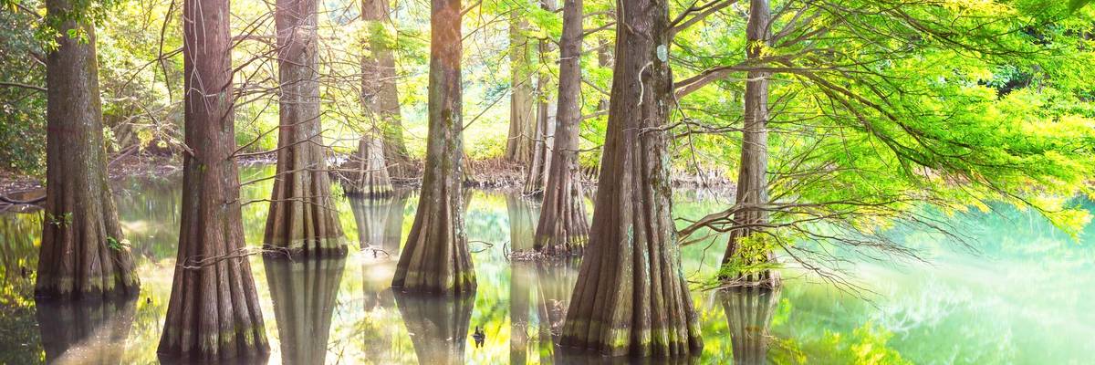 福岡県の情報をもっと見る